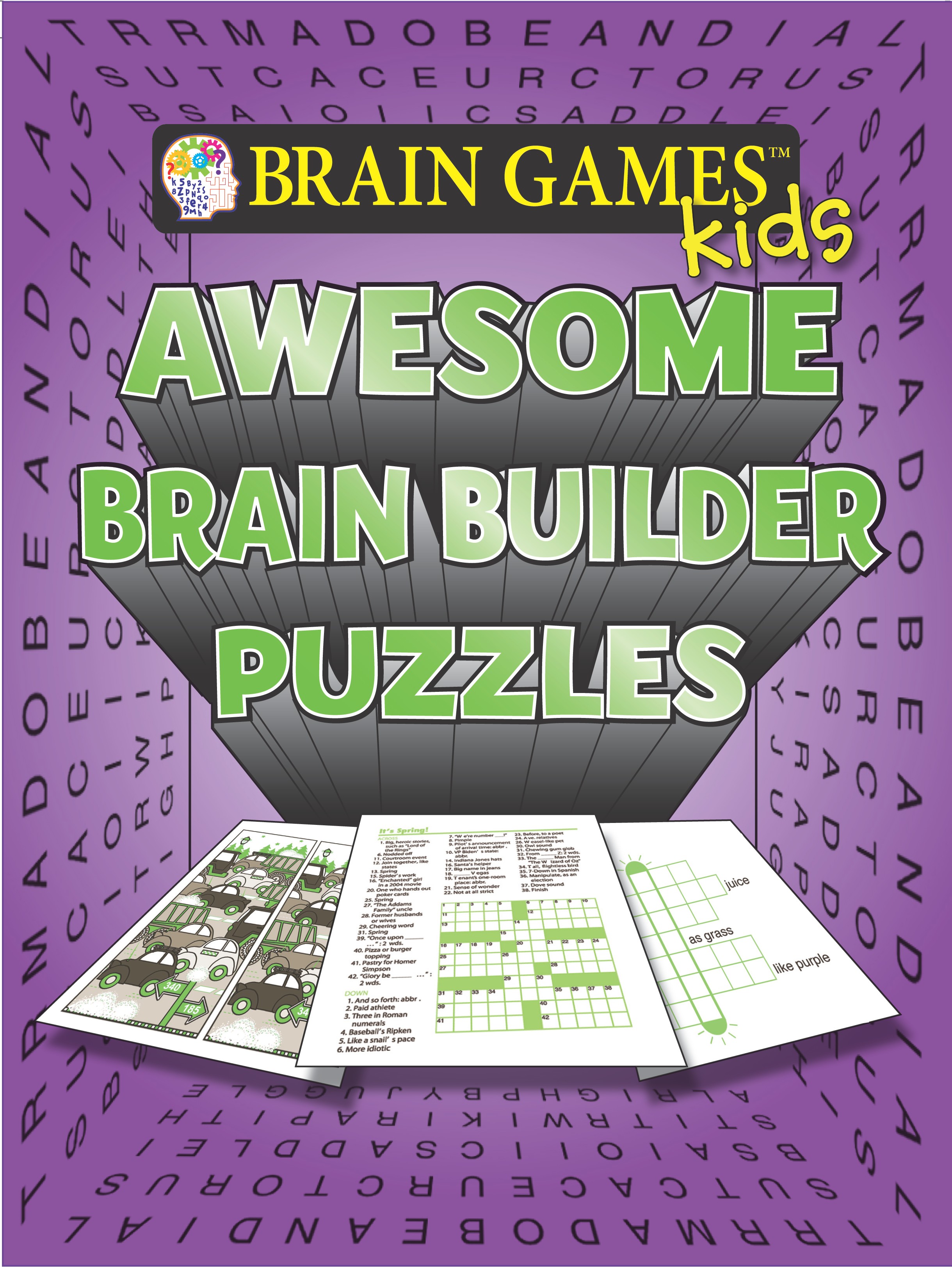 brain games bible puzzle book